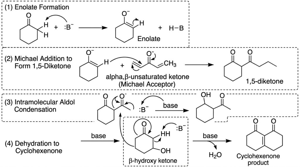 Robinson annulation mechanism step by step showing Michael addition and aldol condensation